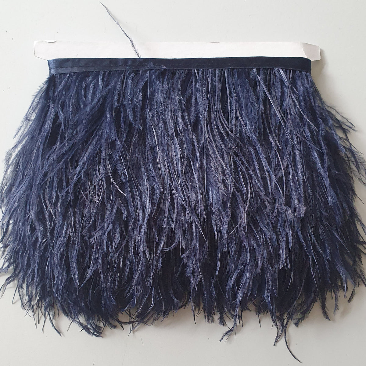 Ostrich Feather Trim