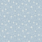 Pattern of white flowers on a light blue background