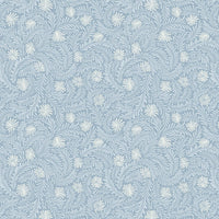 Pattern of white flowers on a light blue background