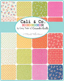 Collection of colorful fabric squares with 'Cali & Co.' branding on a blue background