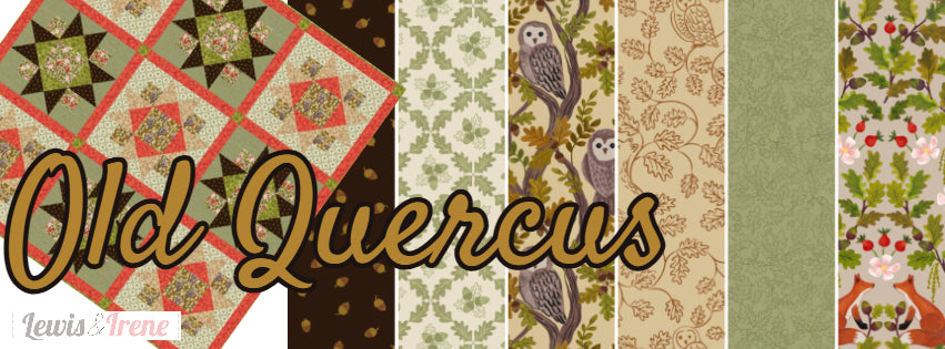 FabricFocus 