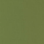  On a superb quality base cloth this premium plain will stitch beautifully and perfect for projects that require a block colour fabric, in this case Terrain Cactus