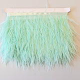 Super Luxurious Ostrich Feather trim, coloured and on co-ordinating coloured ribbon. Great for dressmaking, crafting, home decor and costume. A fashionable mint green colour-way on a co-ordinating ribbon. Sold in metre increments