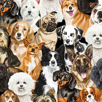 Cute dog breeds, best of friends! Including Westies, Dalmations, Collies.......